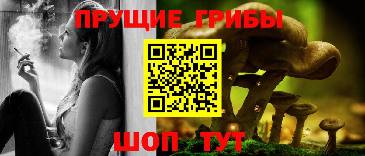 Галлюциногенные грибы GOLDEN TEACHER  Вход с VPN  Грозный 